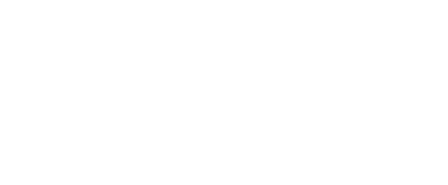 Neossolu